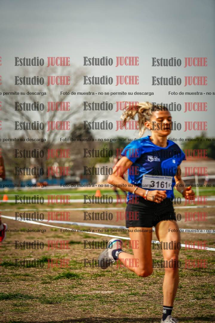 Fotos en el cuarto punto del circuito