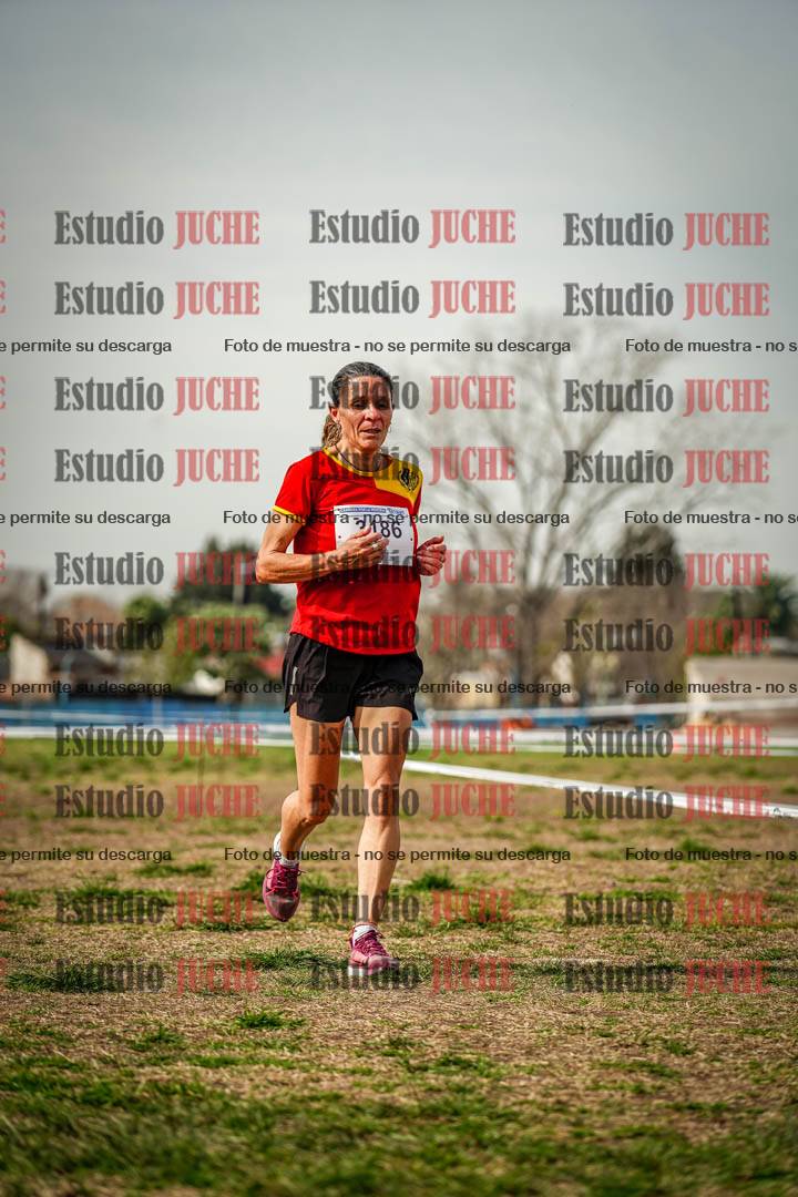 Fotos en el cuarto punto del circuito