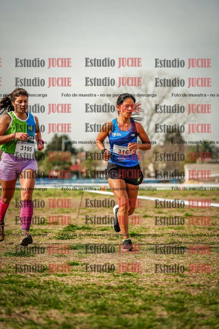 Fotos en el cuarto punto del circuito