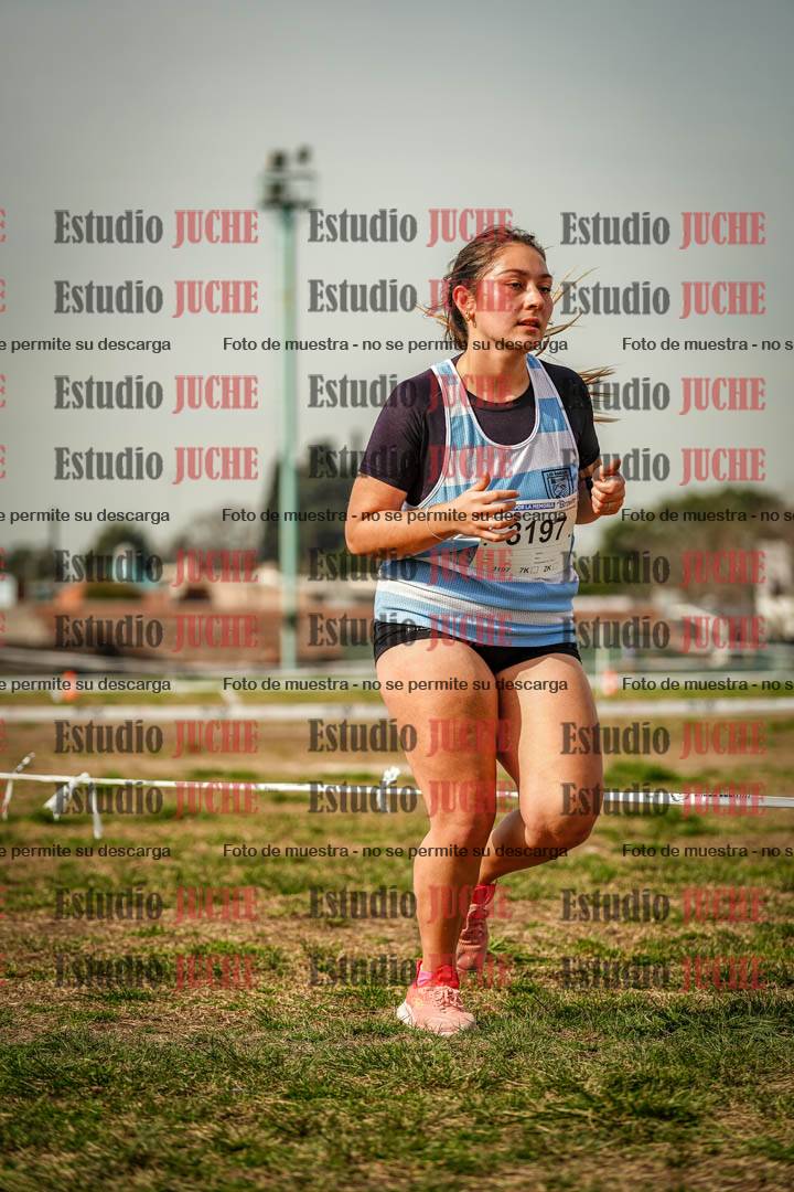 Fotos en el cuarto punto del circuito