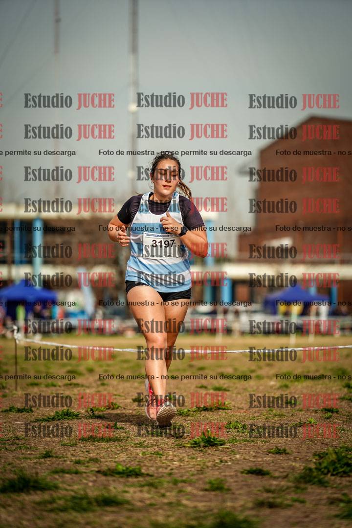Fotos en el sexto punto del circuito