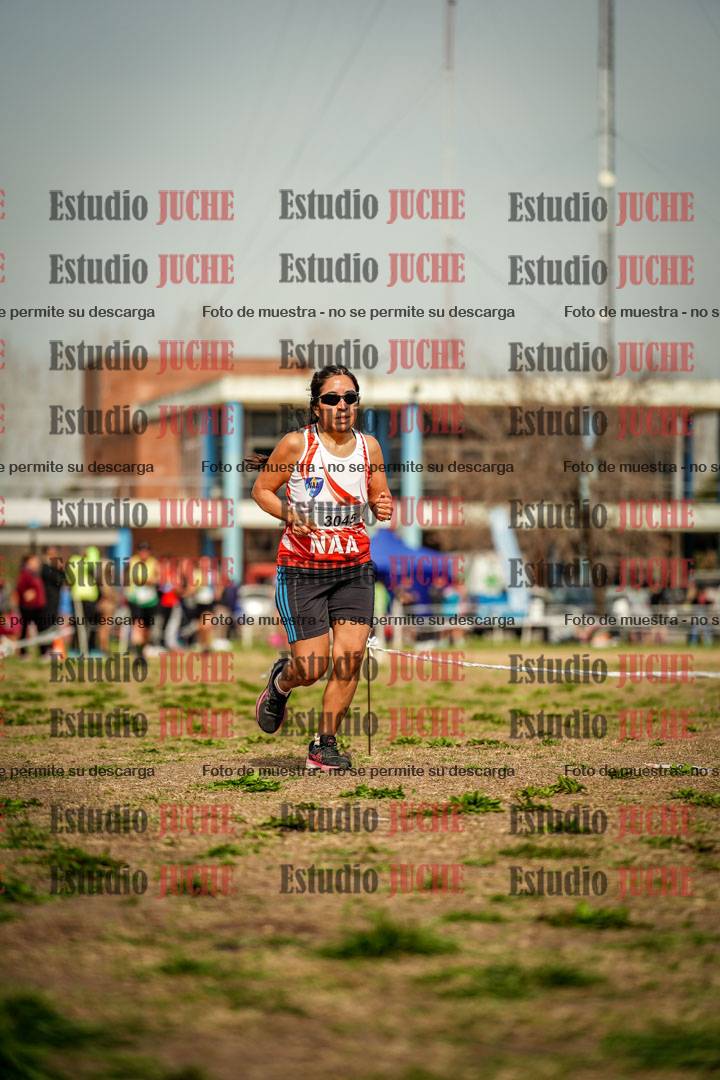 Fotos en el sexto punto del circuito