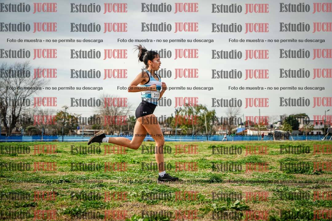 Fotos en el sexto punto del circuito