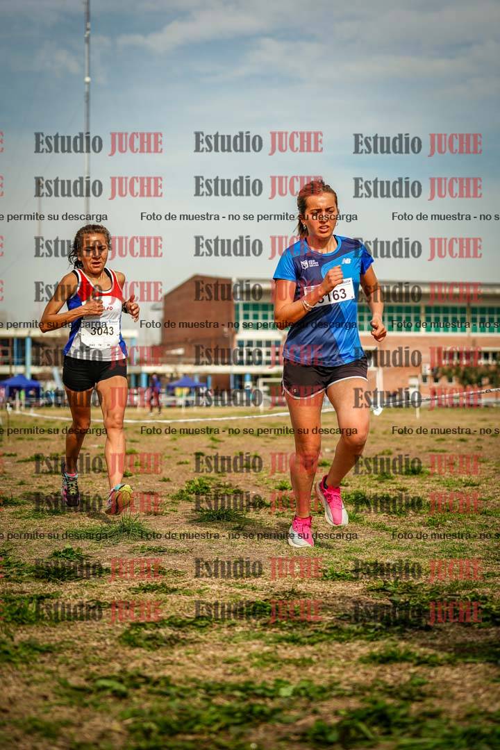 Fotos en el sexto punto del circuito