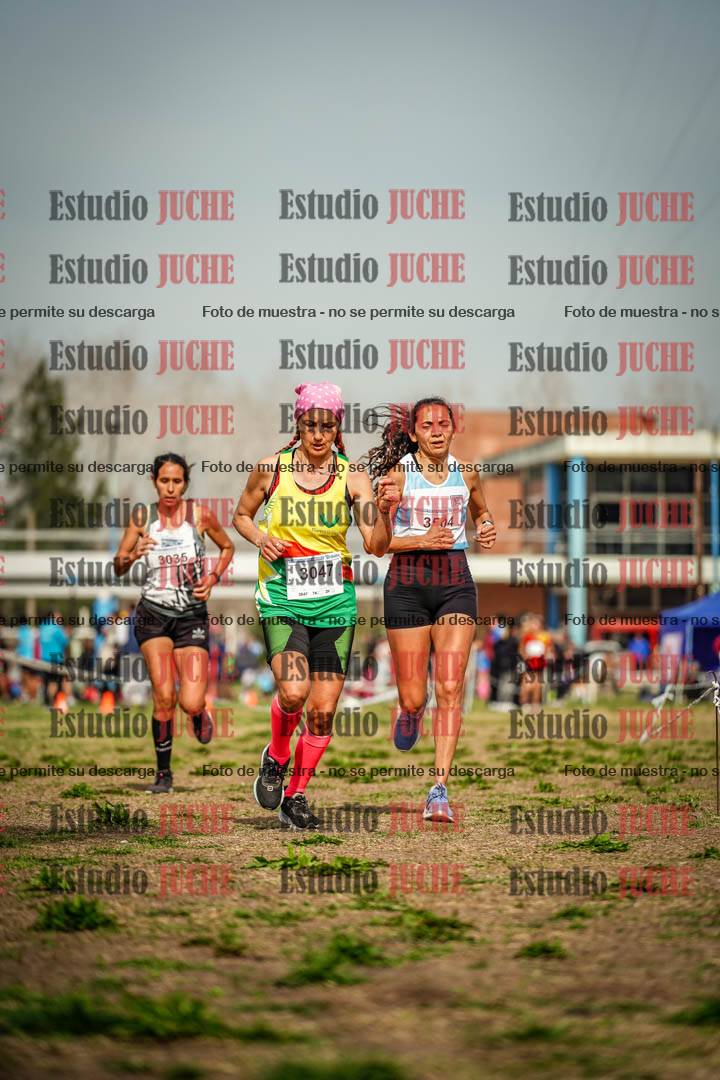Fotos en el sexto punto del circuito