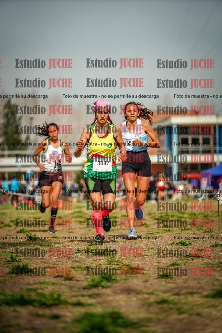 Fotos en el sexto punto del circuito