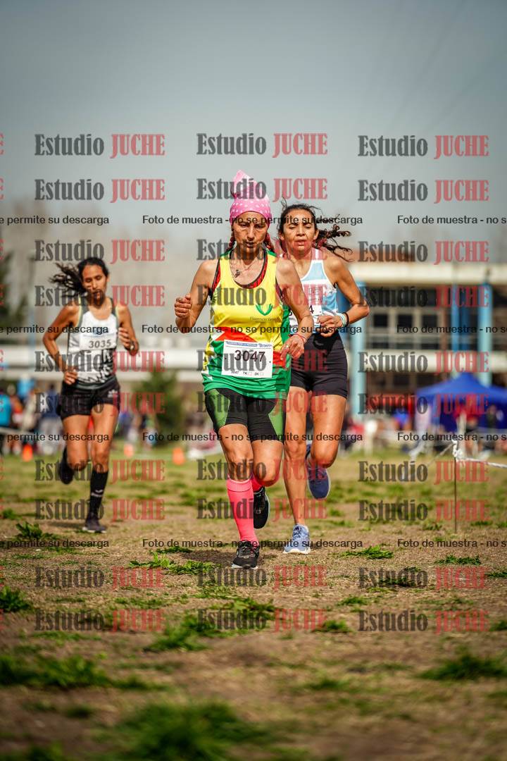 Fotos en el sexto punto del circuito