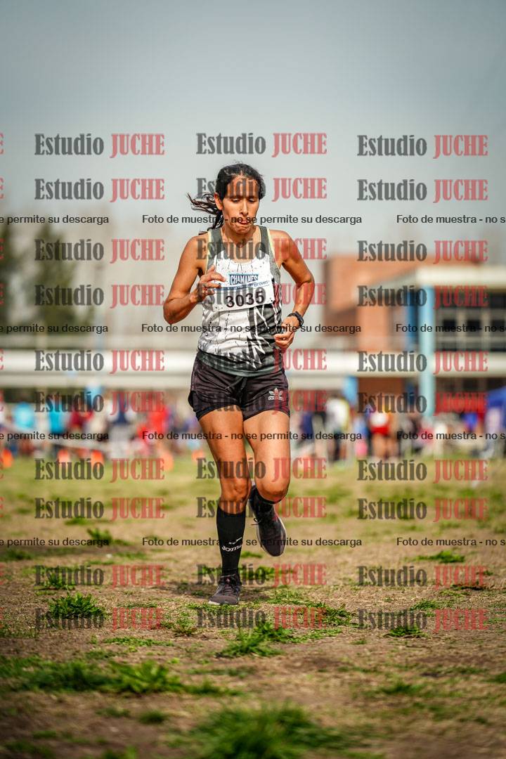 Fotos en el sexto punto del circuito