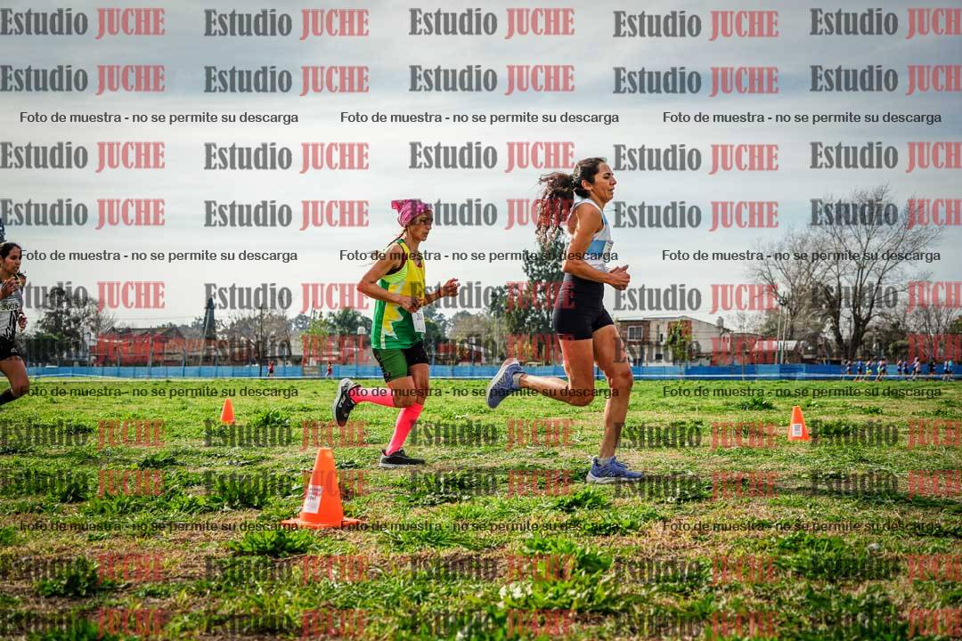 Fotos en el sexto punto del circuito