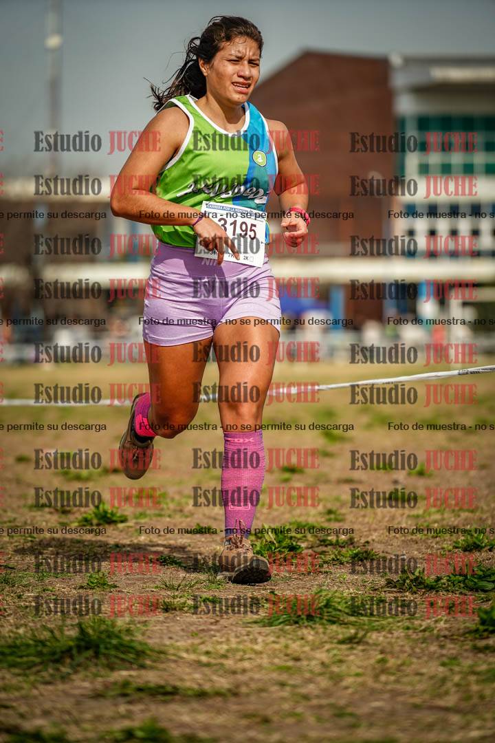 Fotos en el sexto punto del circuito