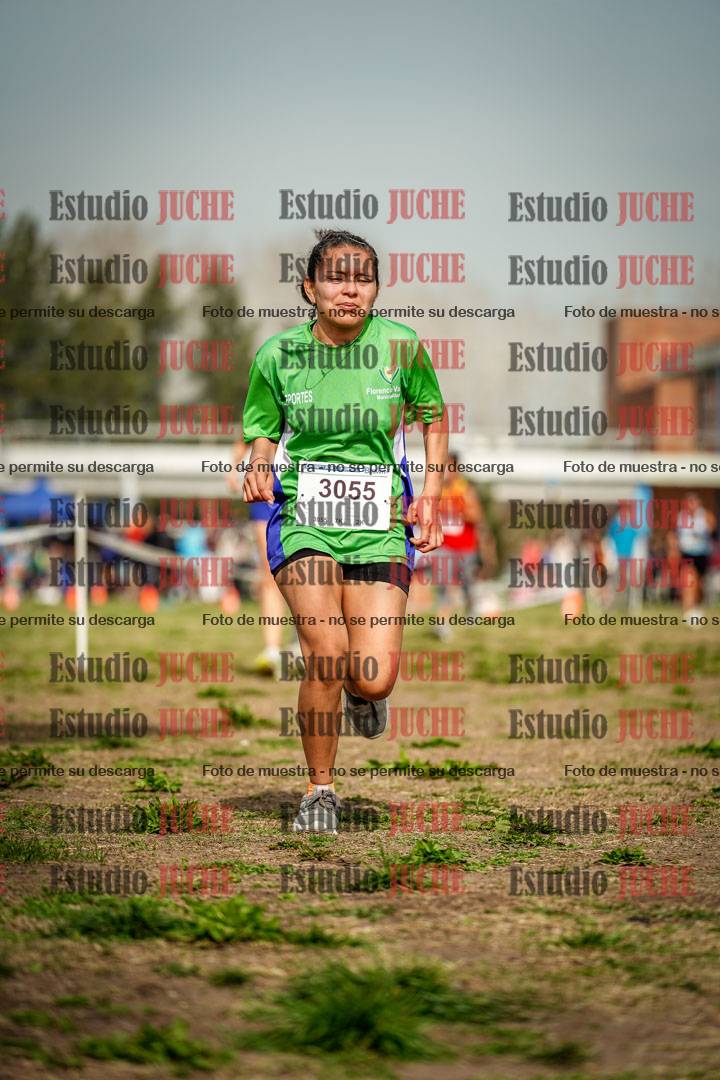 Fotos en el sexto punto del circuito