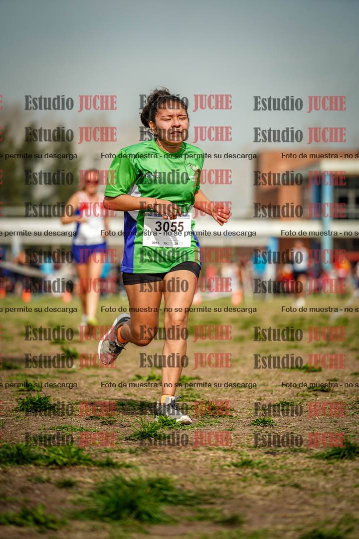 Fotos en el sexto punto del circuito