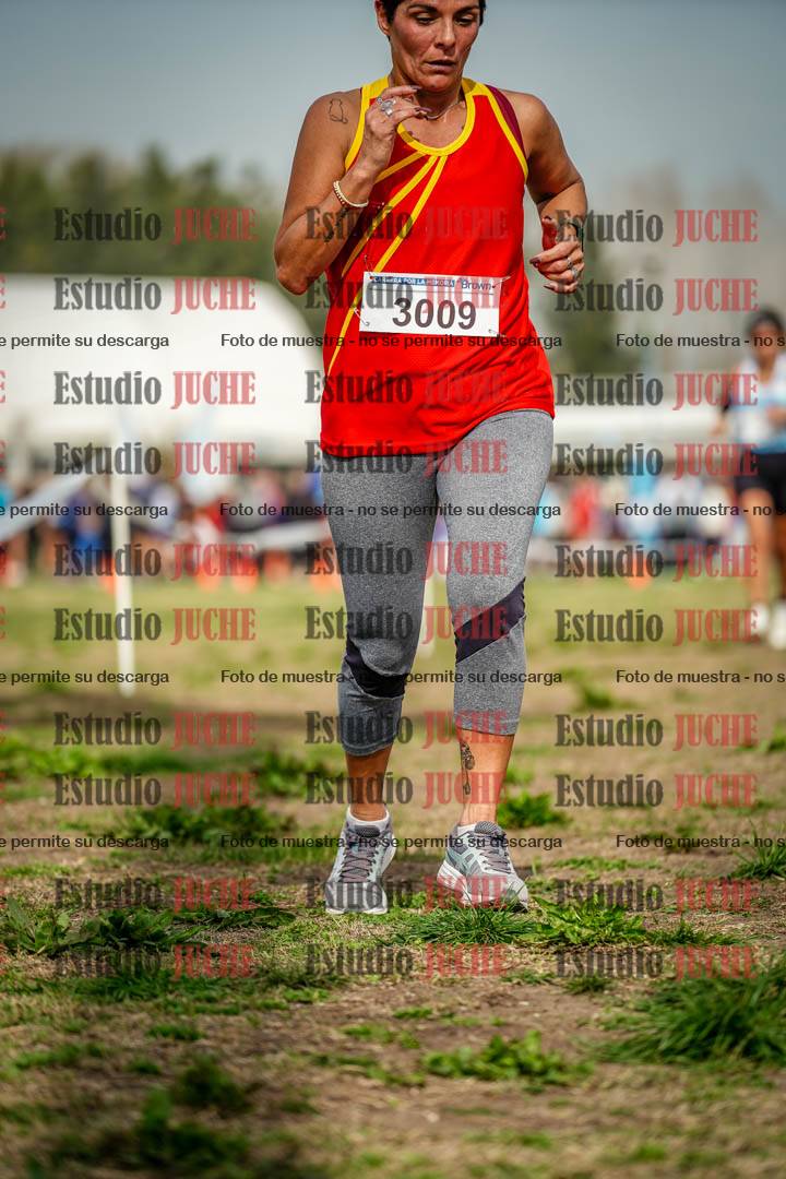 Fotos en el sexto punto del circuito