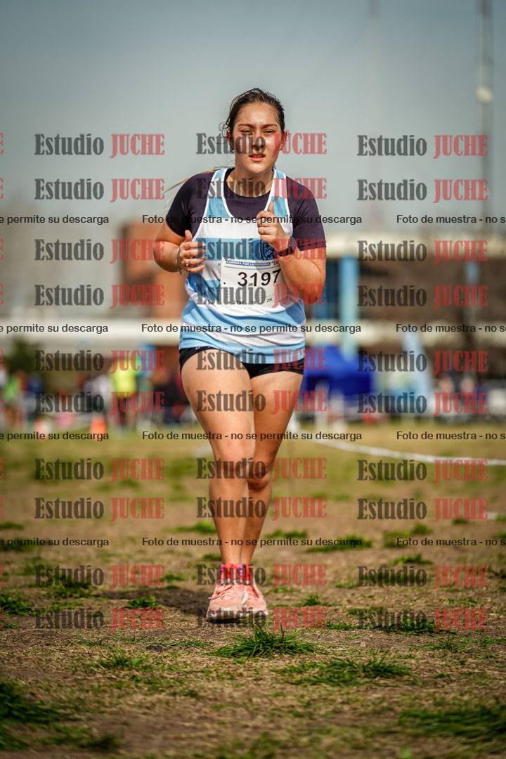 Fotos en el sexto punto del circuito
