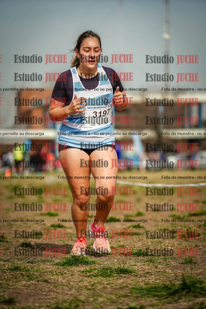 Fotos en el sexto punto del circuito