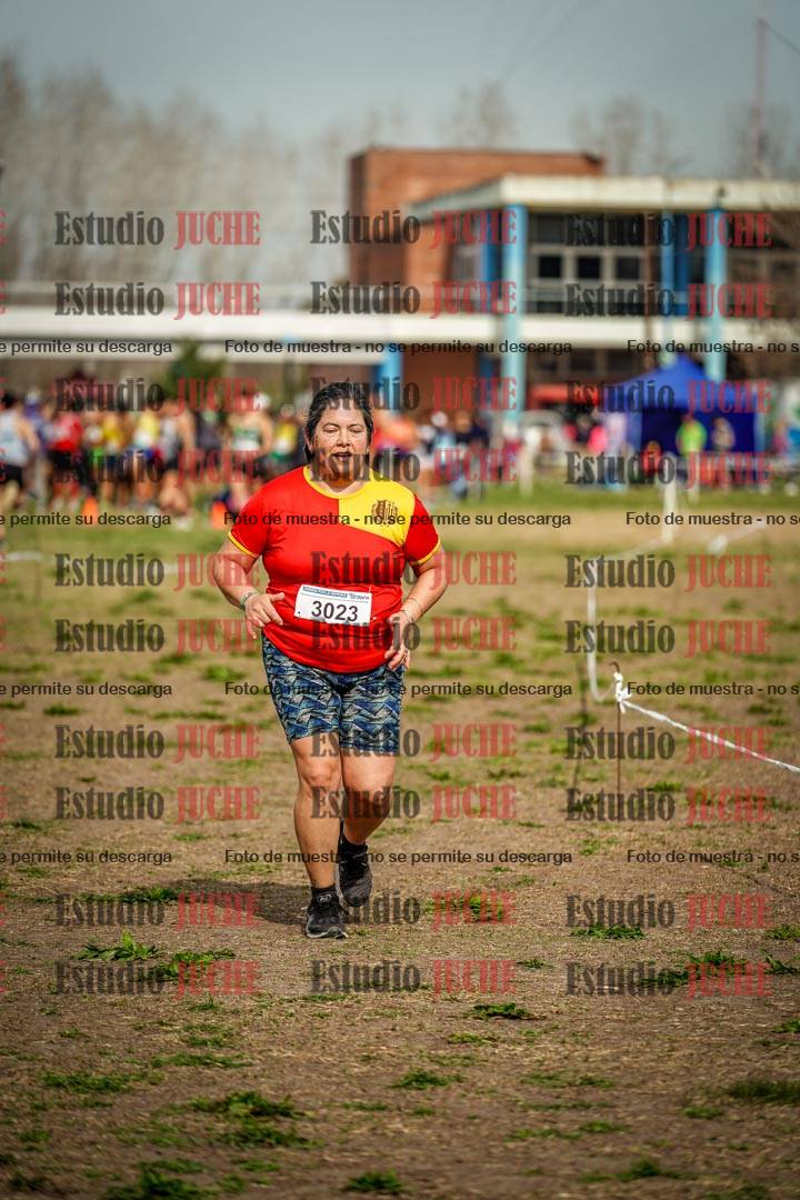 Fotos en el sexto punto del circuito