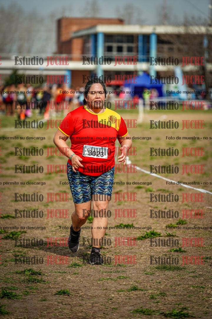 Fotos en el sexto punto del circuito