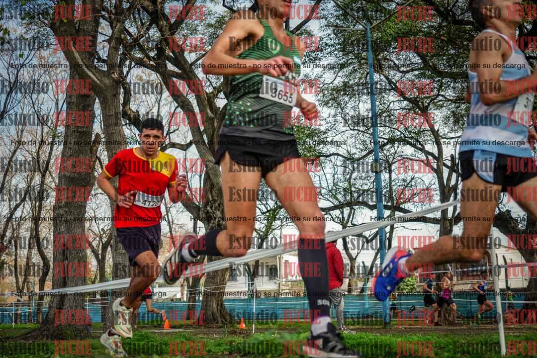 Fotos en el quinto punto del circuito