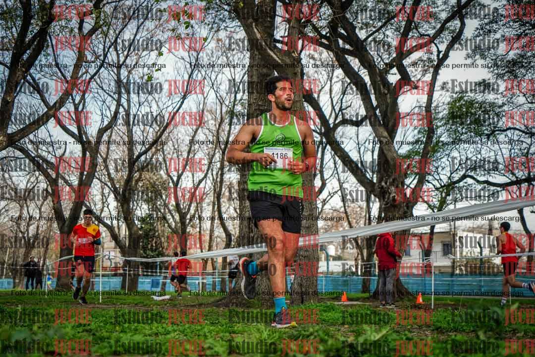 Fotos en el quinto punto del circuito