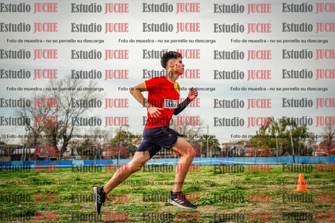 Fotos en el octavo punto del circuito