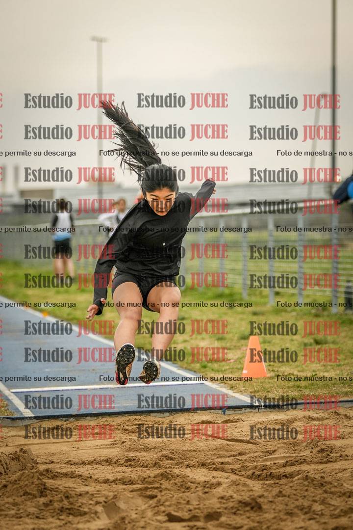 Fotos del salto en largo de mujeres - ambas categorías
