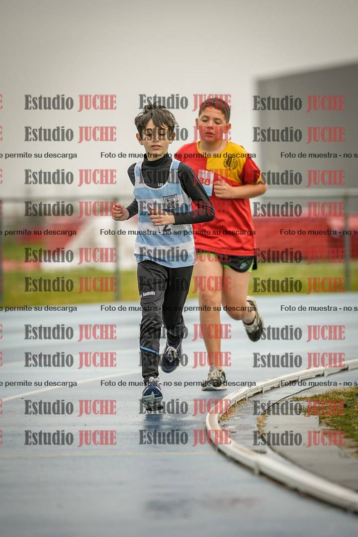Fotos de los 1000 m llanos de varones - U12