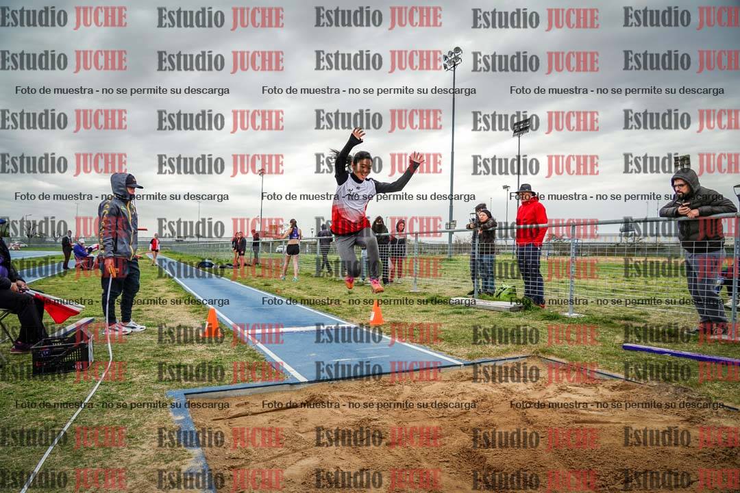 Fotos del salto en largo de mujeres - ambas categorías