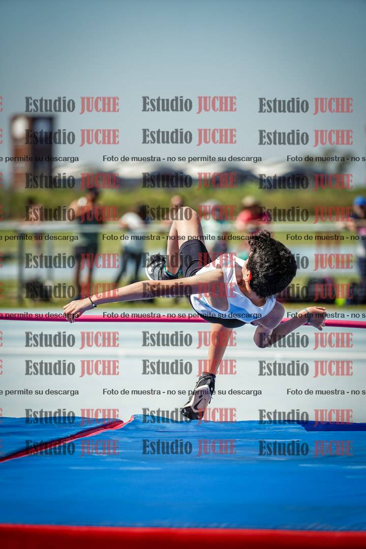 Fotos del salto en alto de mujeres y varones - todos los grupos