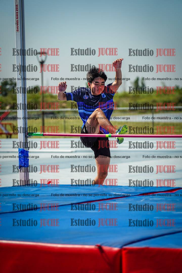 Fotos del salto en alto de mujeres y varones - todos los grupos