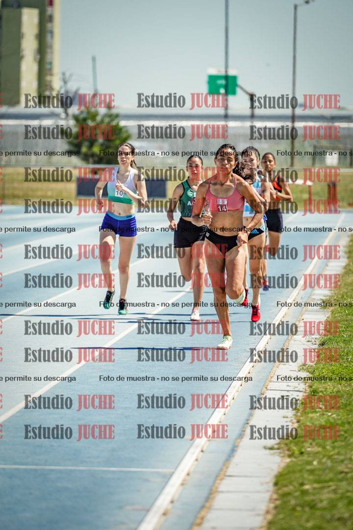 Fotos de los 800 m llanos de mujeres