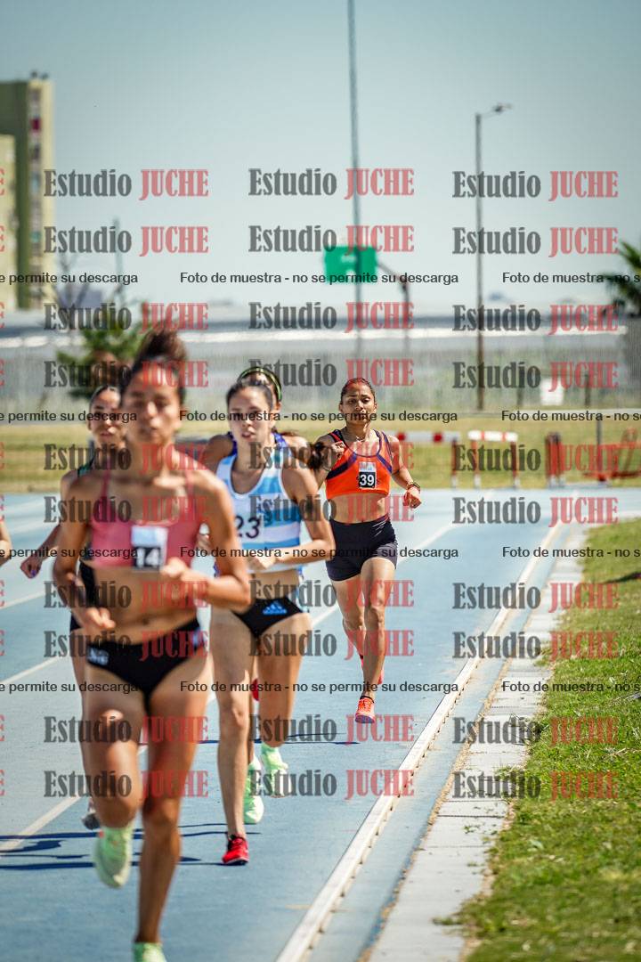 Fotos de los 800 m llanos de mujeres