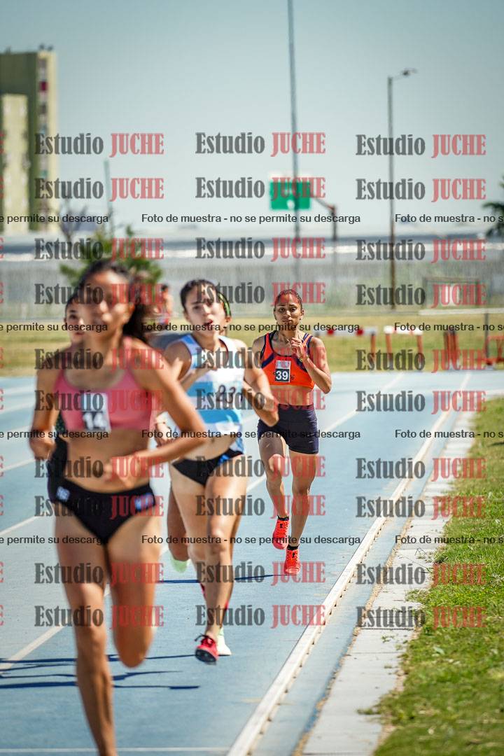Fotos de los 800 m llanos de mujeres