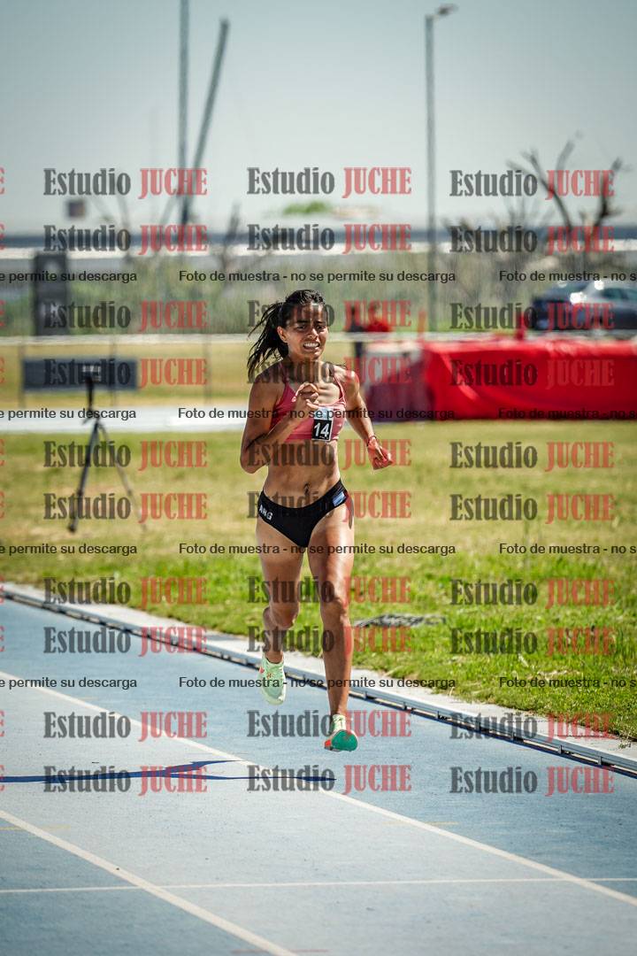 Fotos de los 800 m llanos de mujeres