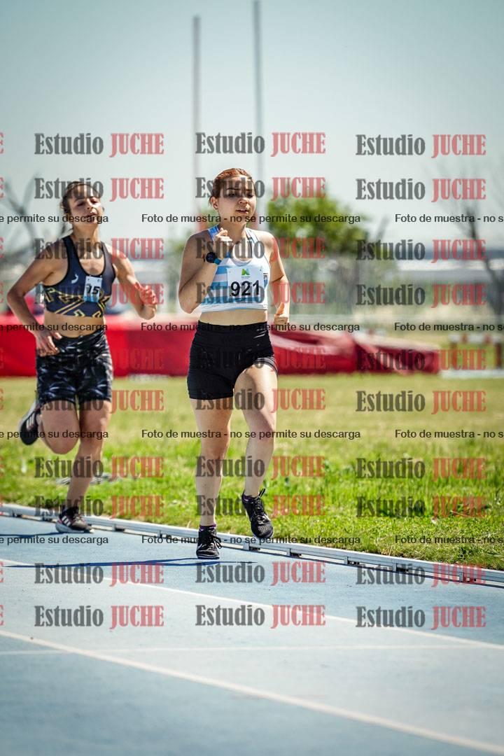 Fotos de los 800 m llanos de mujeres