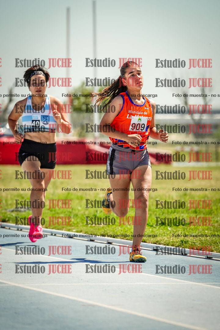 Fotos de los 800 m llanos de mujeres