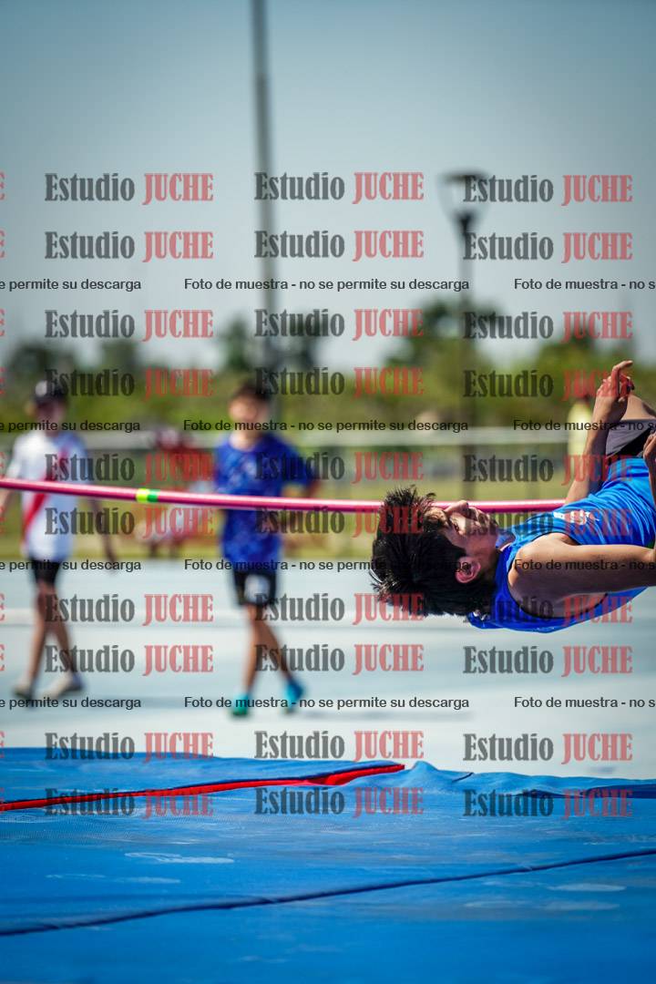 Fotos del salto en alto de mujeres y varones - todos los grupos