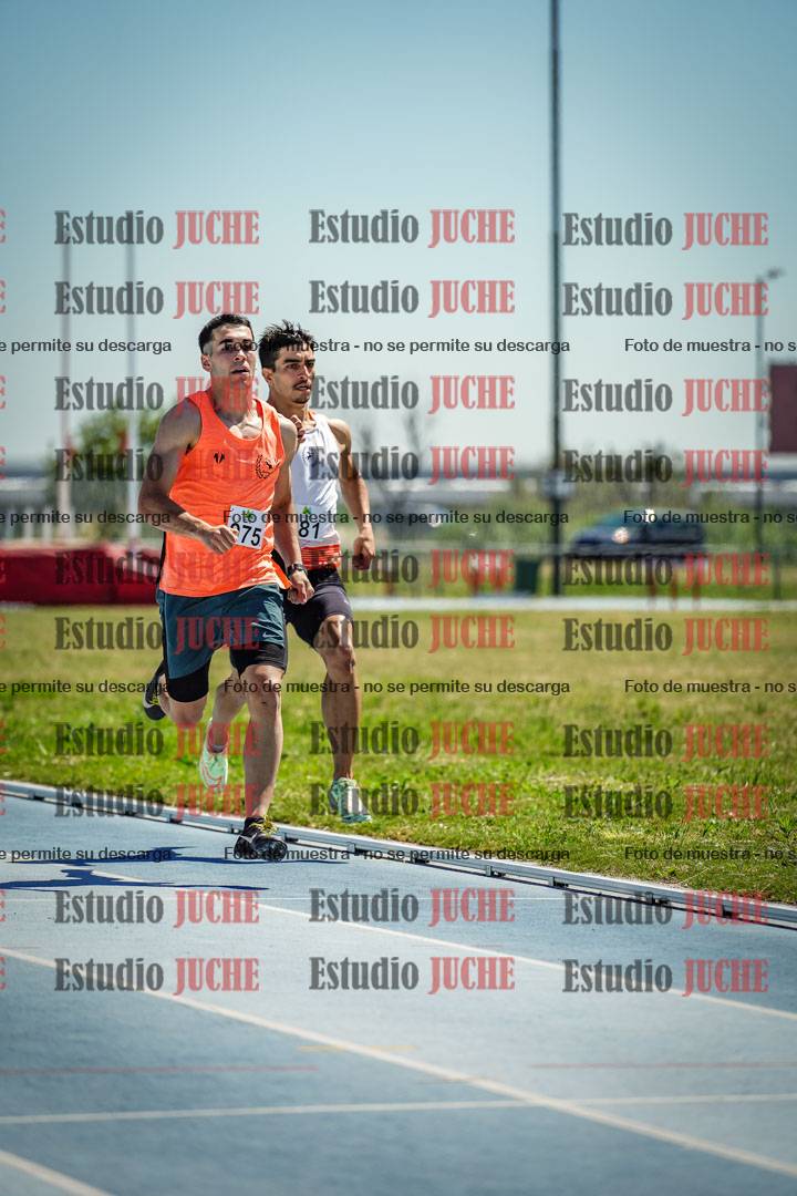 Fotos de los 800 m llanos de varones