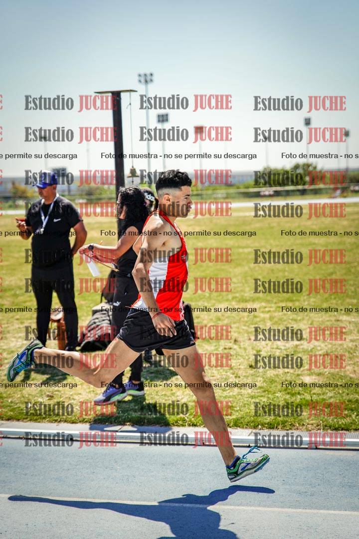 Fotos de los 800 m llanos de varones