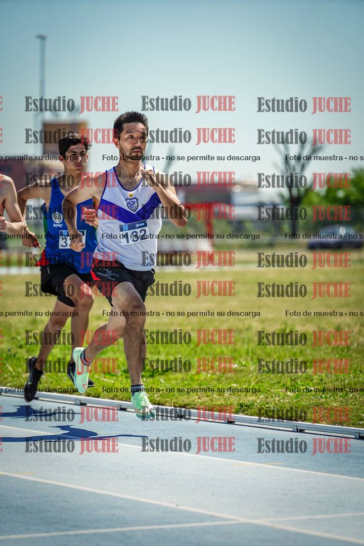 Fotos de los 800 m llanos de varones
