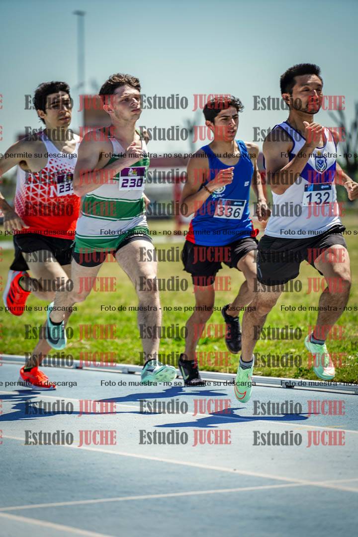 Fotos de los 800 m llanos de varones