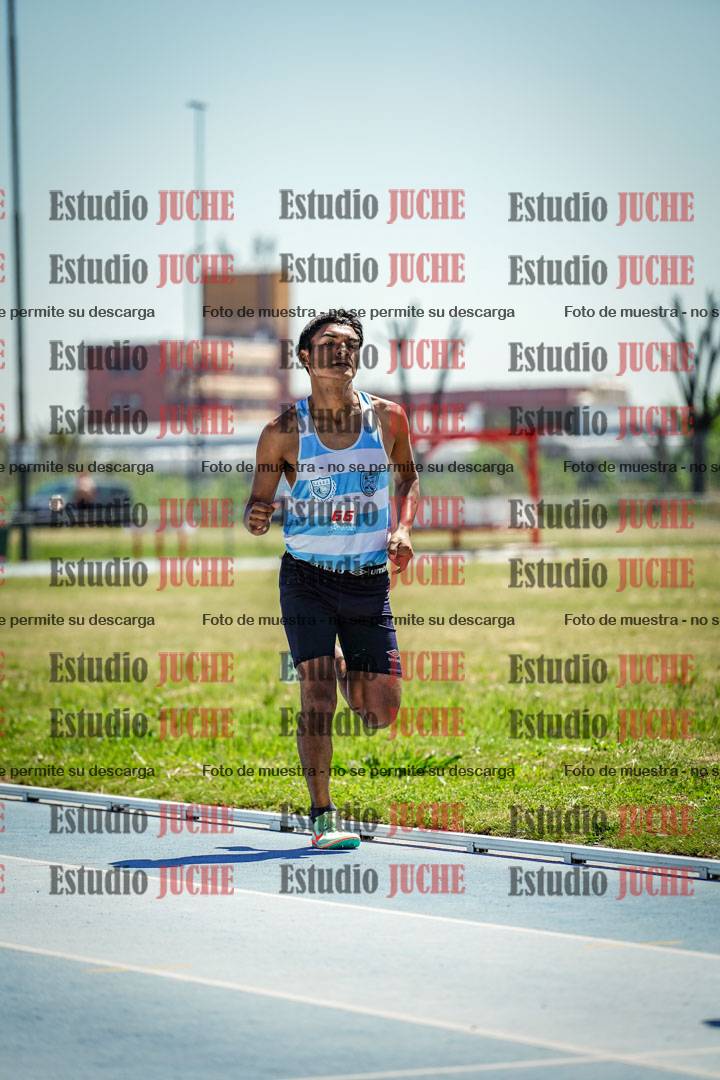 Fotos de los 800 m llanos de varones