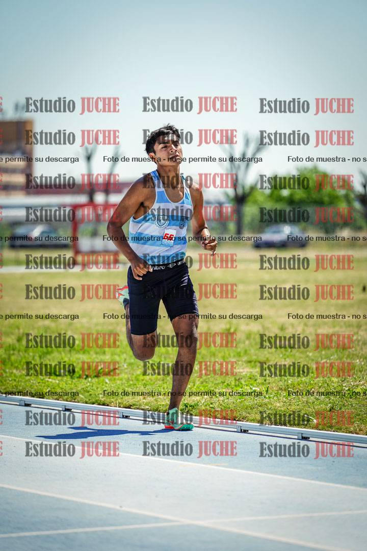 Fotos de los 800 m llanos de varones