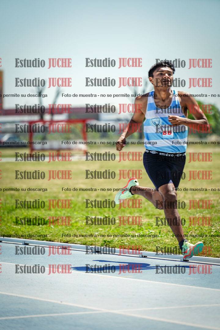 Fotos de los 800 m llanos de varones