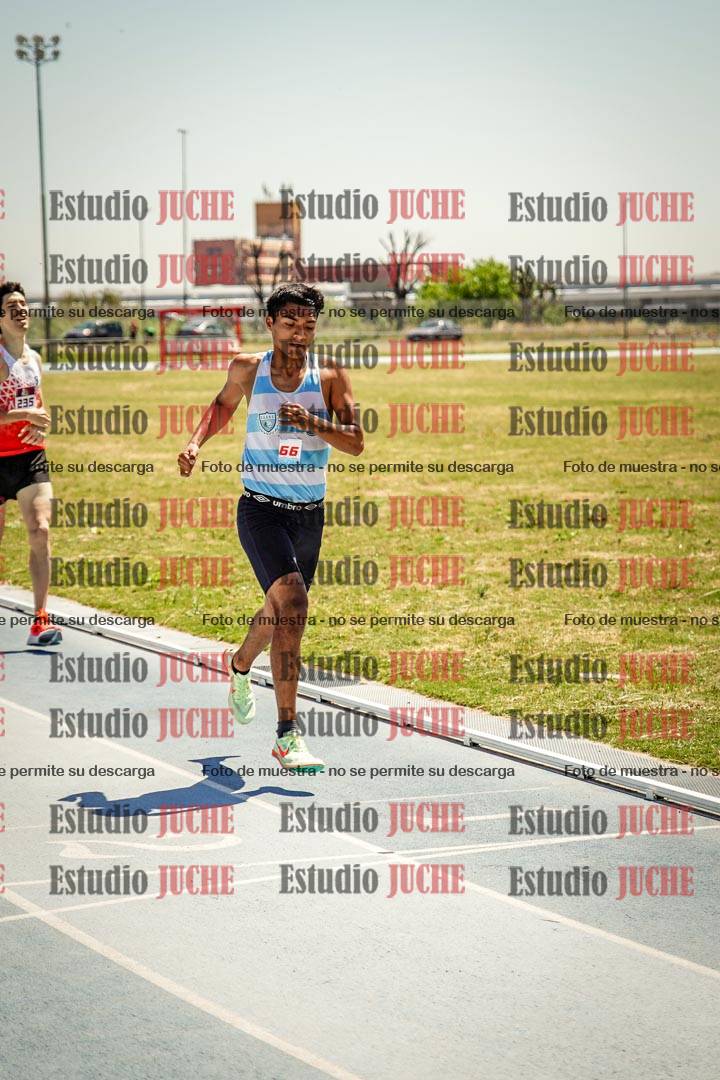 Fotos de los 800 m llanos de varones
