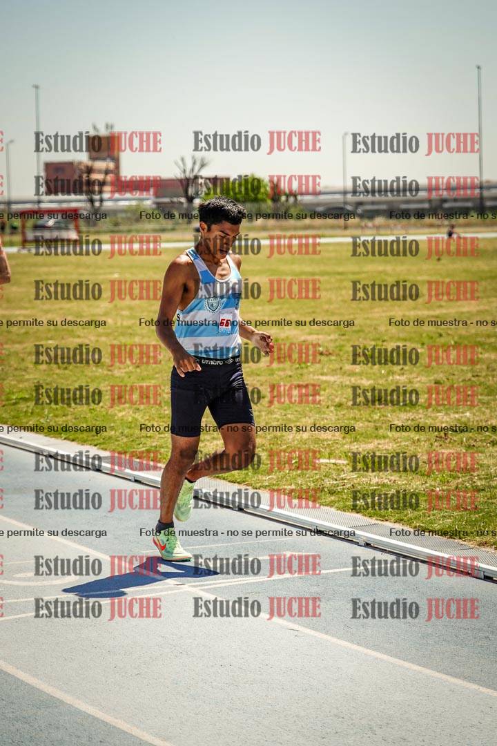 Fotos de los 800 m llanos de varones