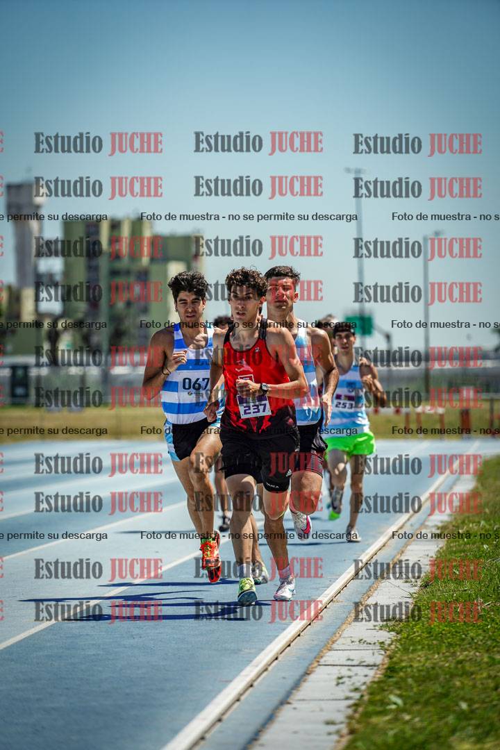 Fotos de los 800 m llanos de varones