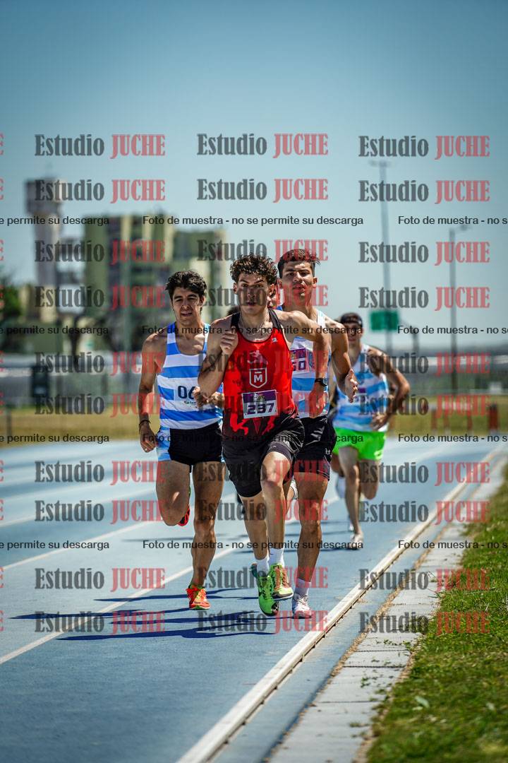 Fotos de los 800 m llanos de varones