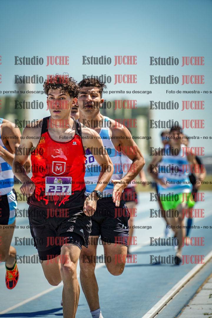 Fotos de los 800 m llanos de varones