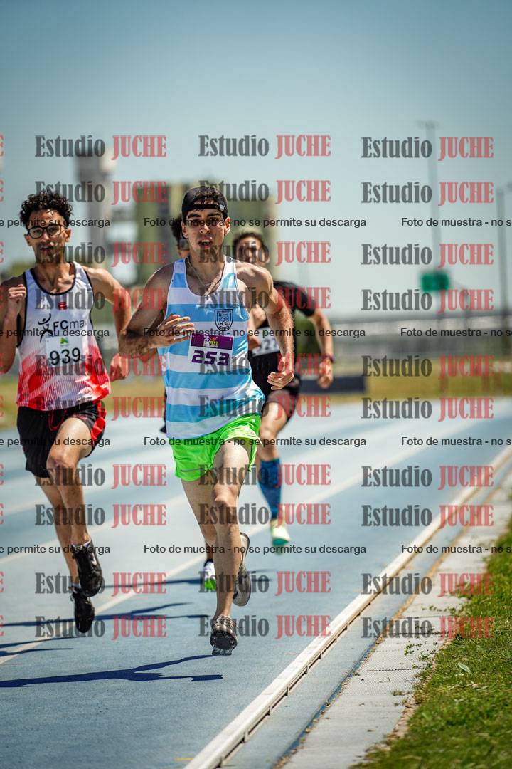 Fotos de los 800 m llanos de varones