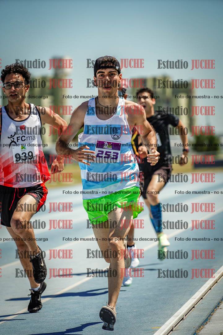 Fotos de los 800 m llanos de varones